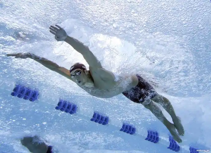 蝶泳手臂及呼吸技术教程与练习方法