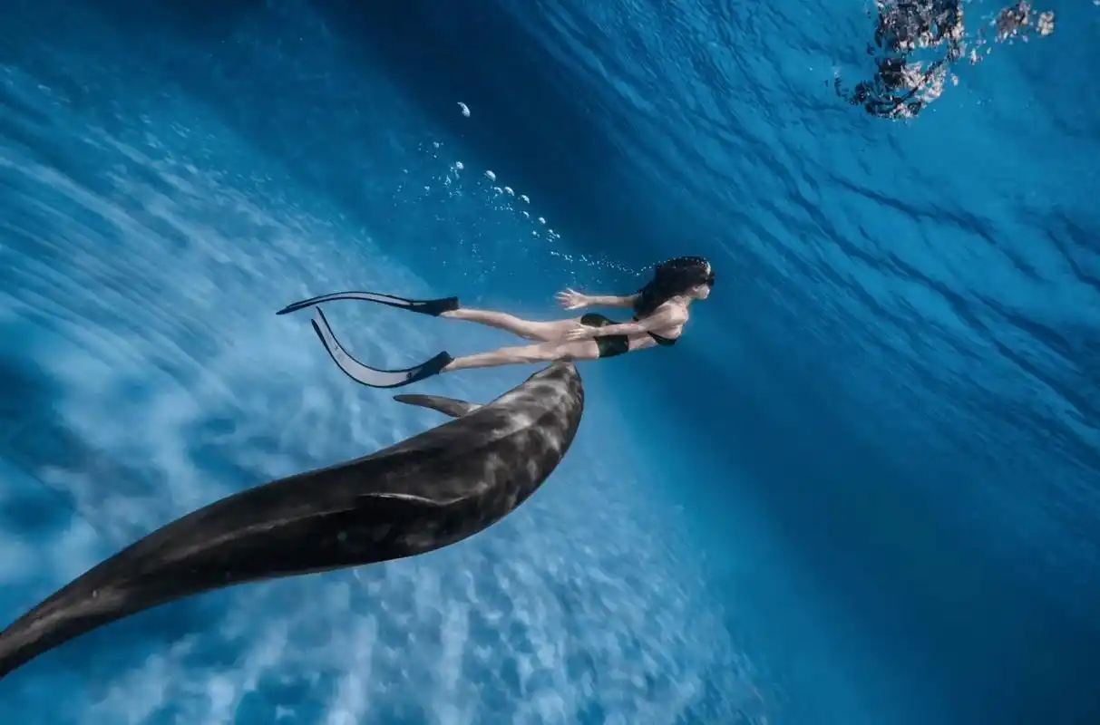 潜水女孩 #水下绝美瞬间 #蓝色治愈系 #勇敢的人先享受世界