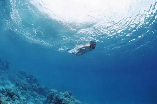 游泳,西方人,一个人,横图,室外,白天,仰视,锻炼,旅游,度假,运动,海底