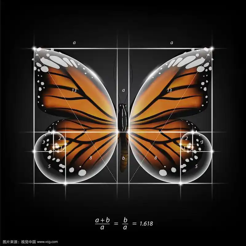 黄金分割比例神圣比例蝴蝶