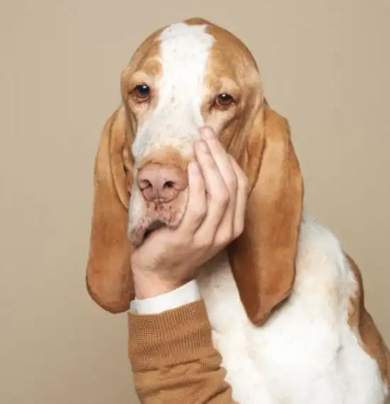 总有些爆笑瞬间让你吐槽无力图