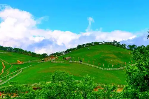 安吉云上草原 20200516