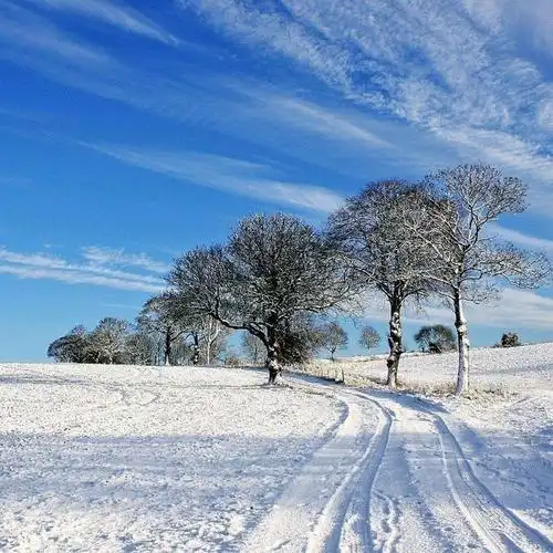 简单的头像干净大方