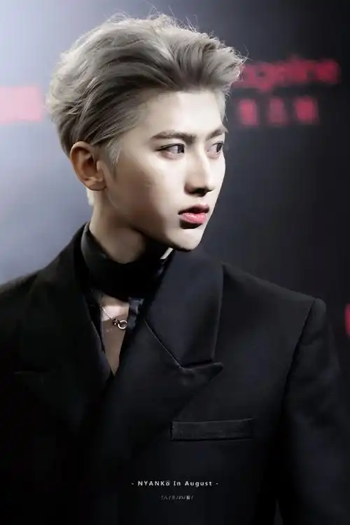 蔡徐坤银发背头