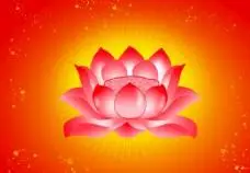 佛莲花图片