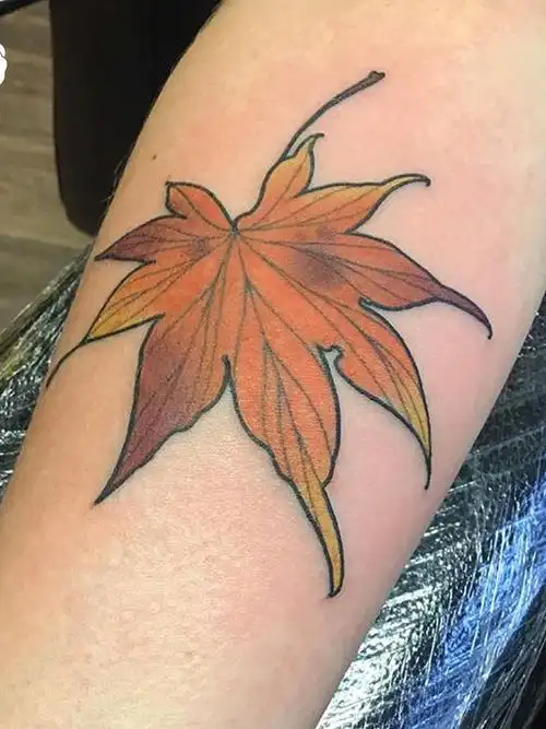 枫叶_纹身图案手稿图片_水异的纹身作品集