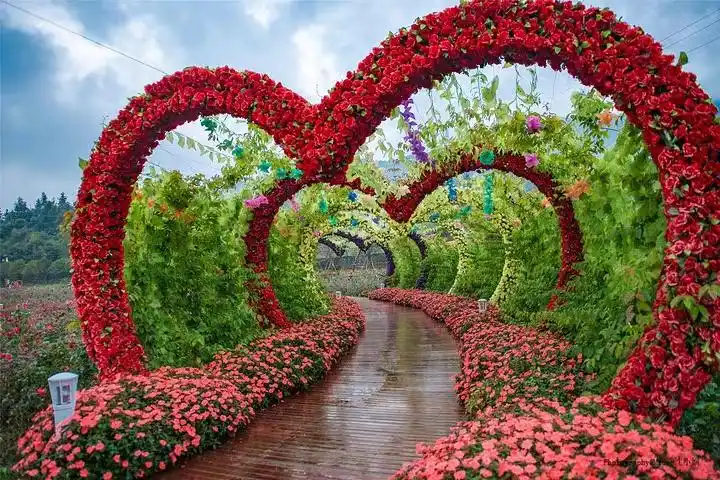 人间仙境花海图片,鸟语花香人间仙境图片