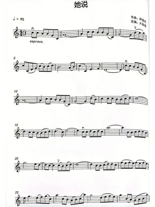 林俊杰的她说小提琴谱