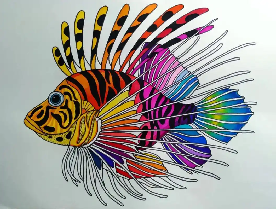 【狮子鱼】欣赏图片认识和欣赏狮子鱼,了解狮子鱼的外貌特征和分 - 抖