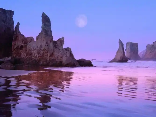 深蓝色天空壁纸_天空下生机勃勃的景象(2)_风景壁纸