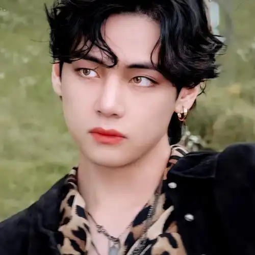 防弹少年团金泰亨头像