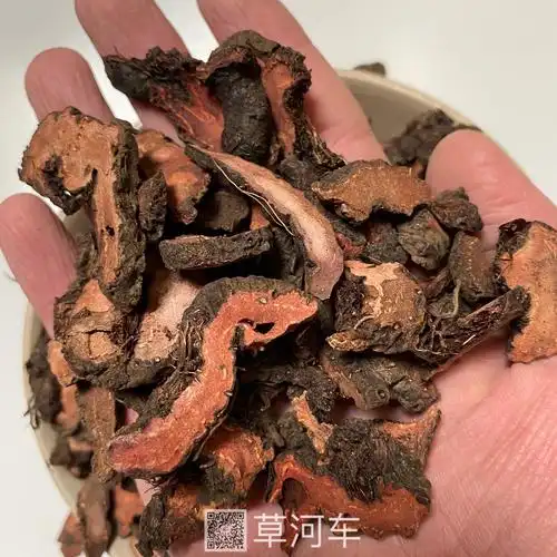 中药材草河车草河车的价格