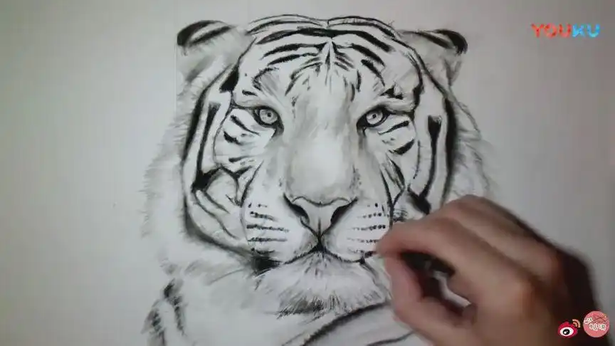 老虎手绘铅笔画,老虎手绘霸气_大山谷图库