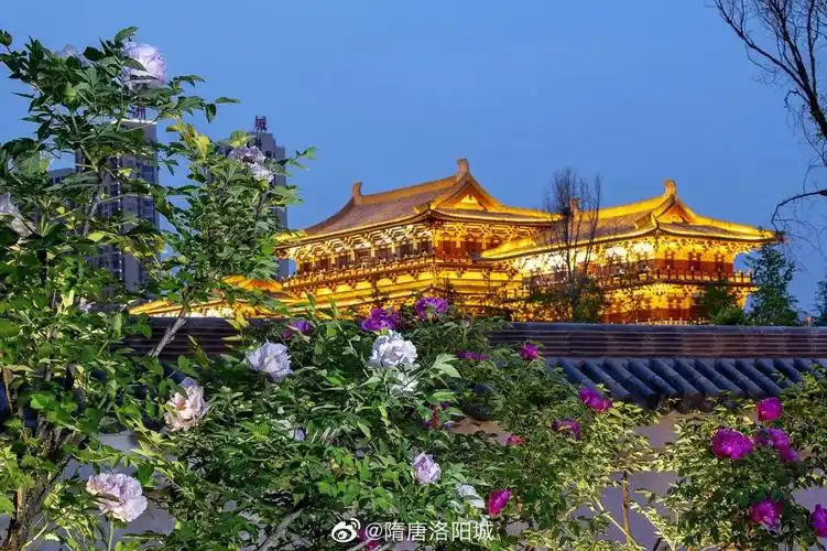春日牡丹簇拥下的洛阳城