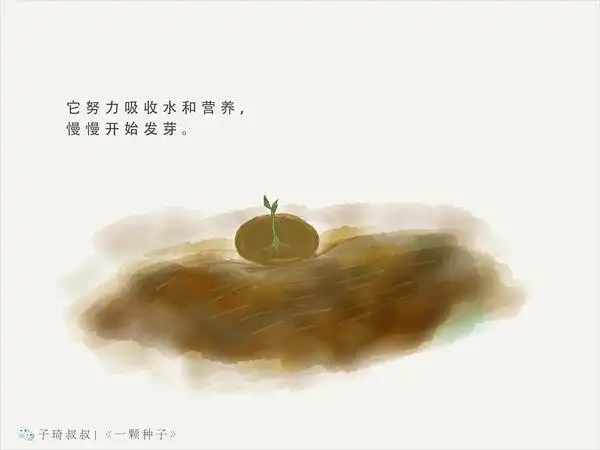 石井镇鸭汪幼儿园:绘本故事《一粒种子》
