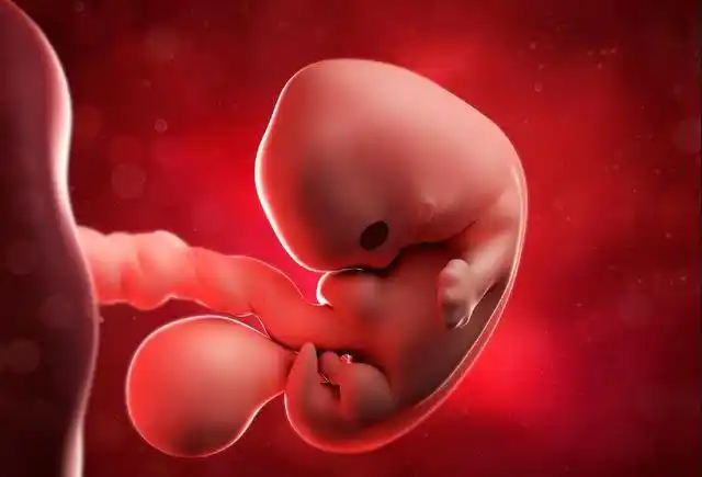 怀孕2个月,孕妇遵循"五要二不要"原则,胎儿聪明又健康