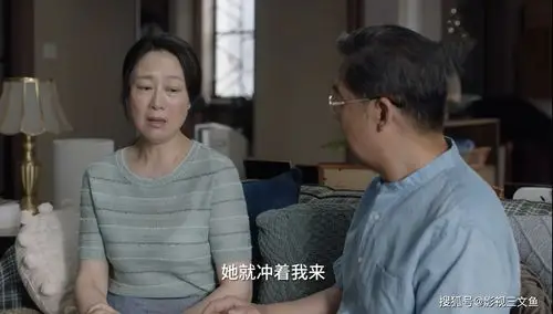 原创小舍得南俪降职田雨岚受挫蔡菊英结局大快人心