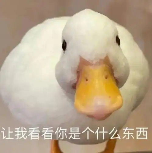 表情包##表情包无水印##搞笑表情包