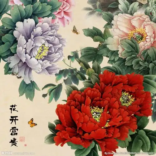 手绘牡丹花花开富贵中国风图片