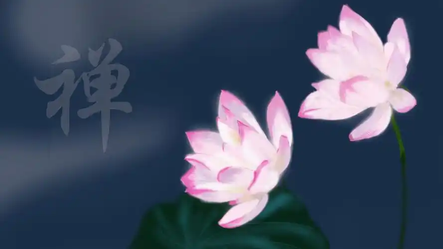 荷花禅绘画壁纸