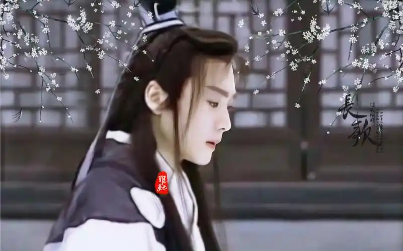 【沈晓海】一笑千场醉,浮生任白头(傅玉书)