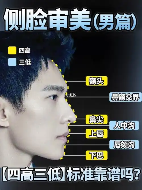 的协调都有要求美当然不是只有一个标准但一定有它内在的规律#侧脸
