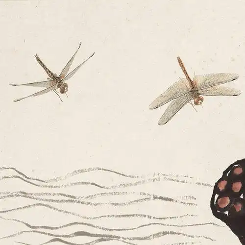 工笔画蜻蜓画法步骤详解