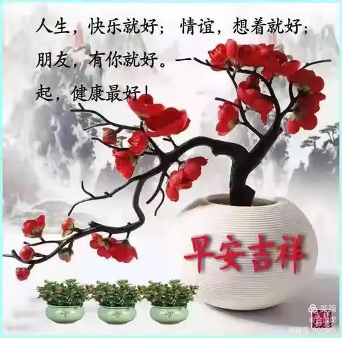 早上好——图片收集