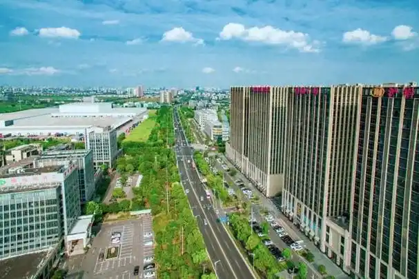 交通保障专线项目,运动场地更新改造,养老服务站新建……洞泾镇2024年