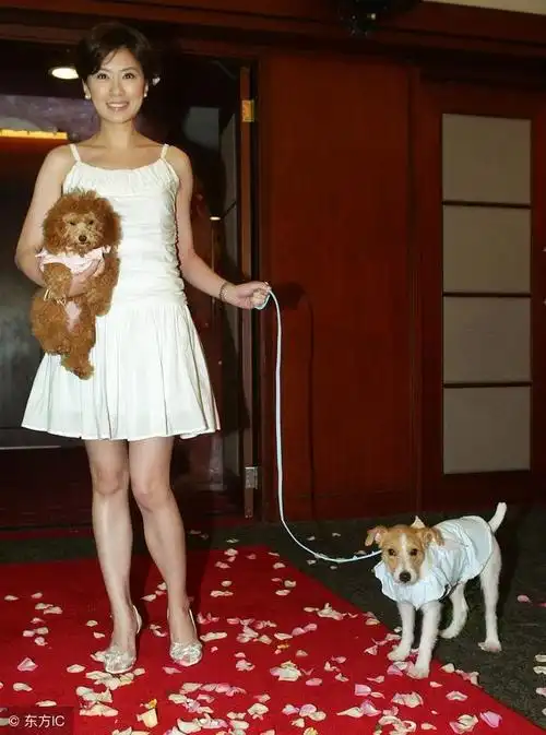 贾静雯的10年,岁月几乎没有在她脸上留下痕迹!