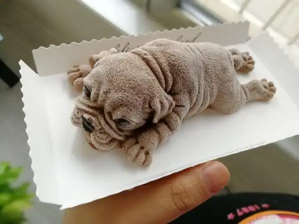 sunliva做的网红沙皮狗慕斯蛋糕