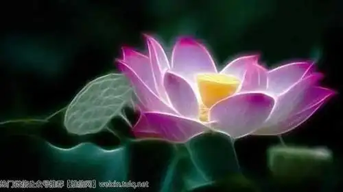 "极乐世界"是怎么回事