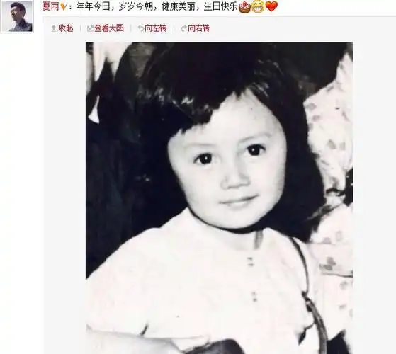 夏雨晒袁泉可爱童年照庆生 依然相爱如昔