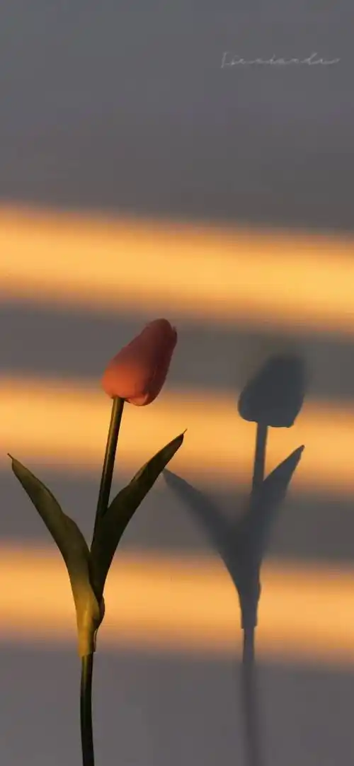 壁纸 | 一看就想换的wechat锁屏壁纸