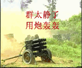 柴犬戏精你最爱哪种犬汪星人萌萌哒表情