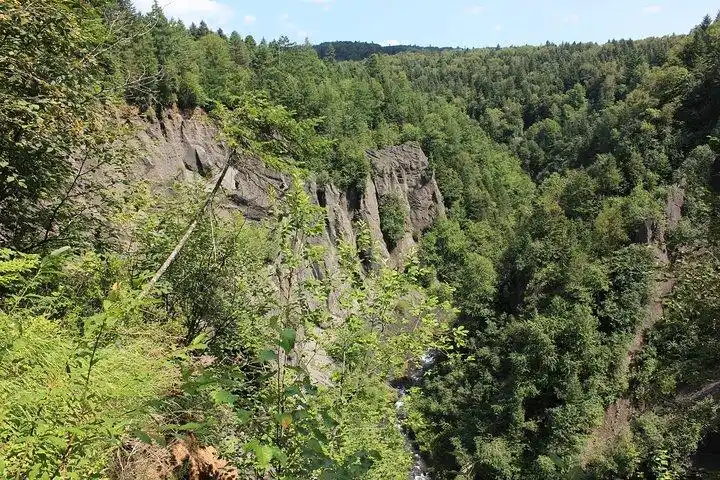 还有成群结队的松鼠, 原始风光很好