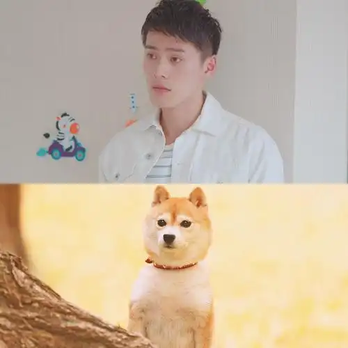 腹肌能力者,好身材圈粉无数,徐静蕾力捧新男主朱致灵我pick了!