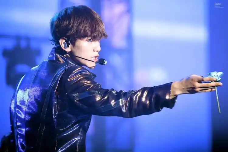 exo 全世界最好的 啵啵虎 边伯贤 baekhyun …-堆糖,美好生活研究所