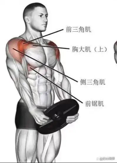 胸肌运动杠铃片前平举