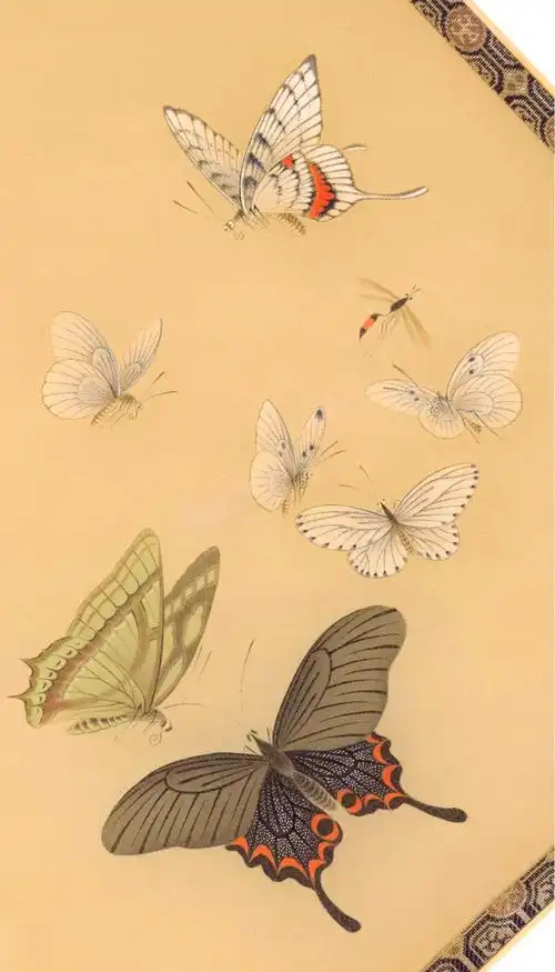 《晴春蝶戏图》高清扫描图 设色步骤详解