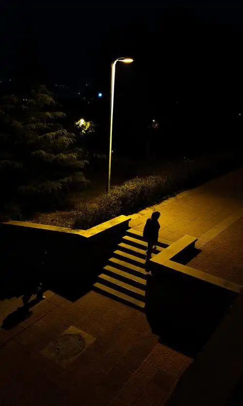 等学校路灯下经过一个人光的颜色让人在寒冷的天气感到一丝温暖