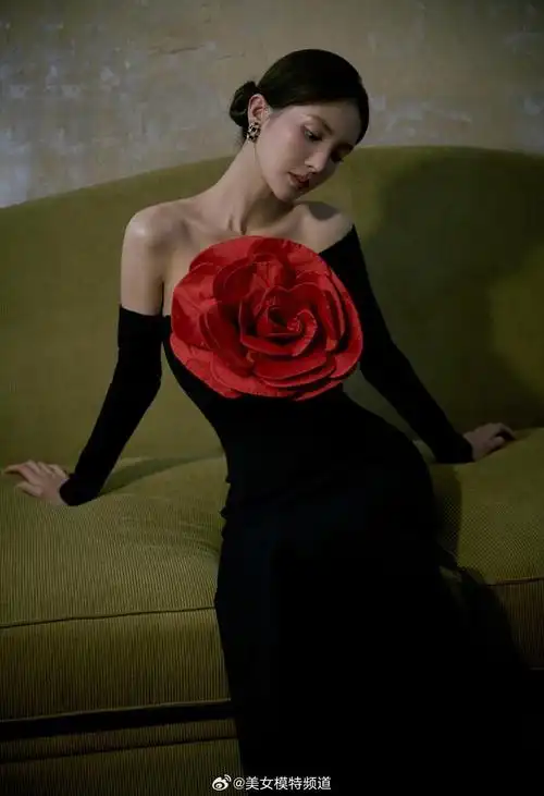金晨黑色长裙胸前大红花朵