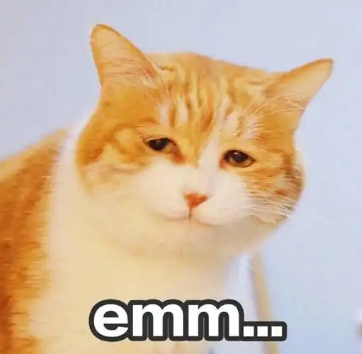 emm是什么意思网络用语,表达一言难尽的意思(语气词)