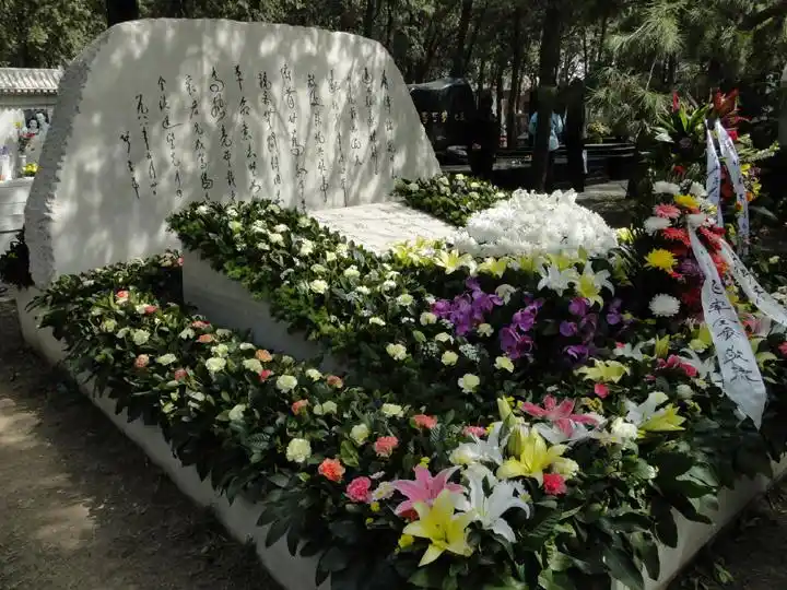 【缅怀先烈-八宝山革命公墓摄影图片】北京八宝山纪实摄影_劲松_太平