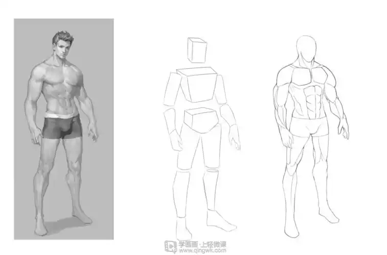 动漫插画之男性人体肌肉解析