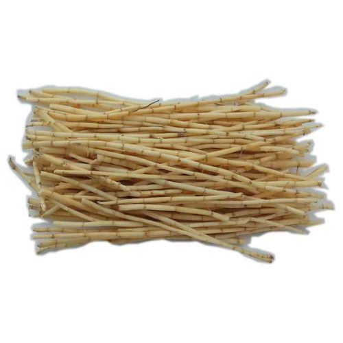 白茅根新鲜 伏牛山野生白毛根凉茶甜草根湿的500克真空毛草根正品