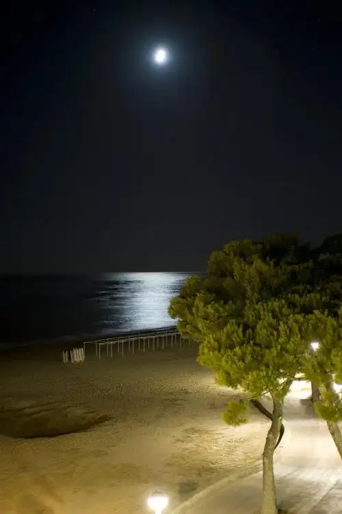 夜晚,海滩,月亮,西班牙,夏天