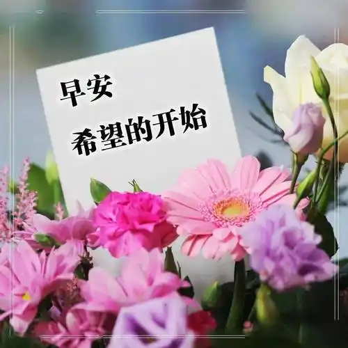 早上好问候语图片大全,最美早安祝福语唯美表情