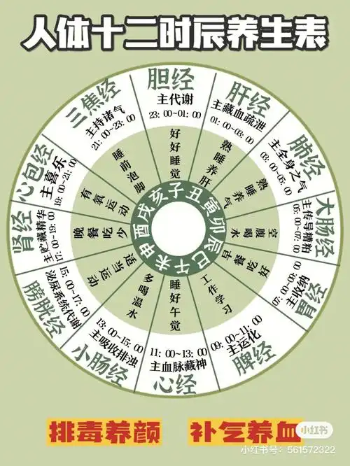 人体12时辰养生表