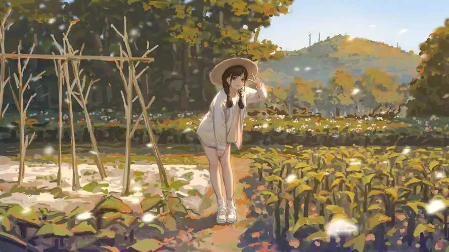 超好看的电脑壁纸